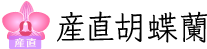 産直胡蝶蘭サイト